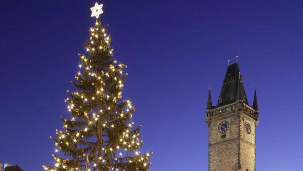 illuminated tree in prague