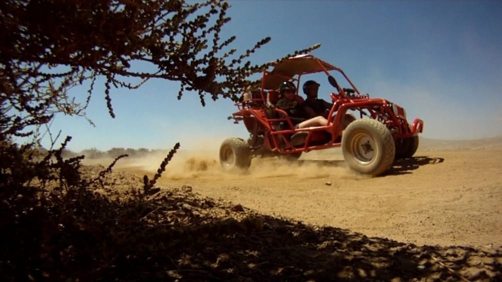 Show item 5 of 9. Buggy or Quad Tour Experience in the North of Fuerteventura