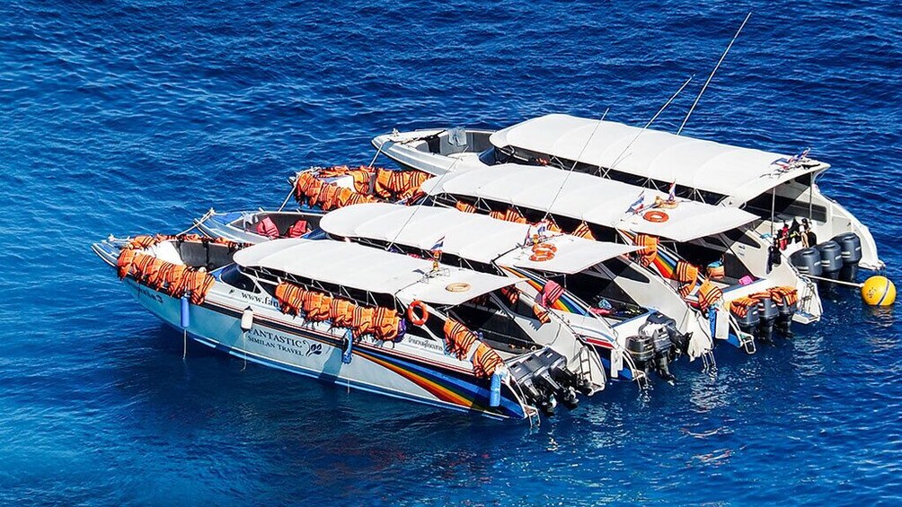 Similan Islands One Day Tour From Khao Lak 
