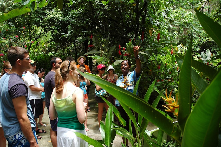 Soufrière Island Delight