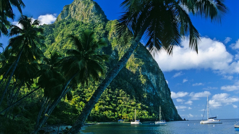 Ships anchored in the water next to one of the pitons of St Lucia