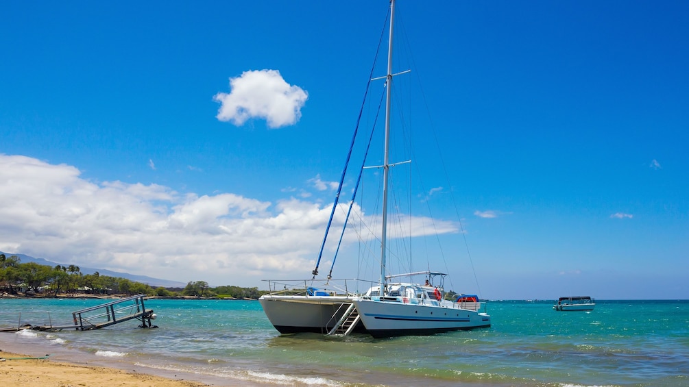 Catamaran just off the coast of St Lucia