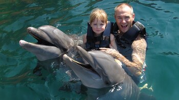 Dolphin Encounter