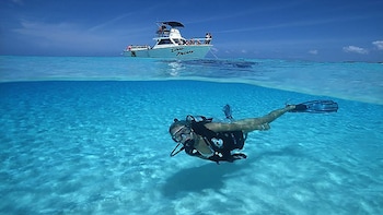 Scuba Diving Excursions