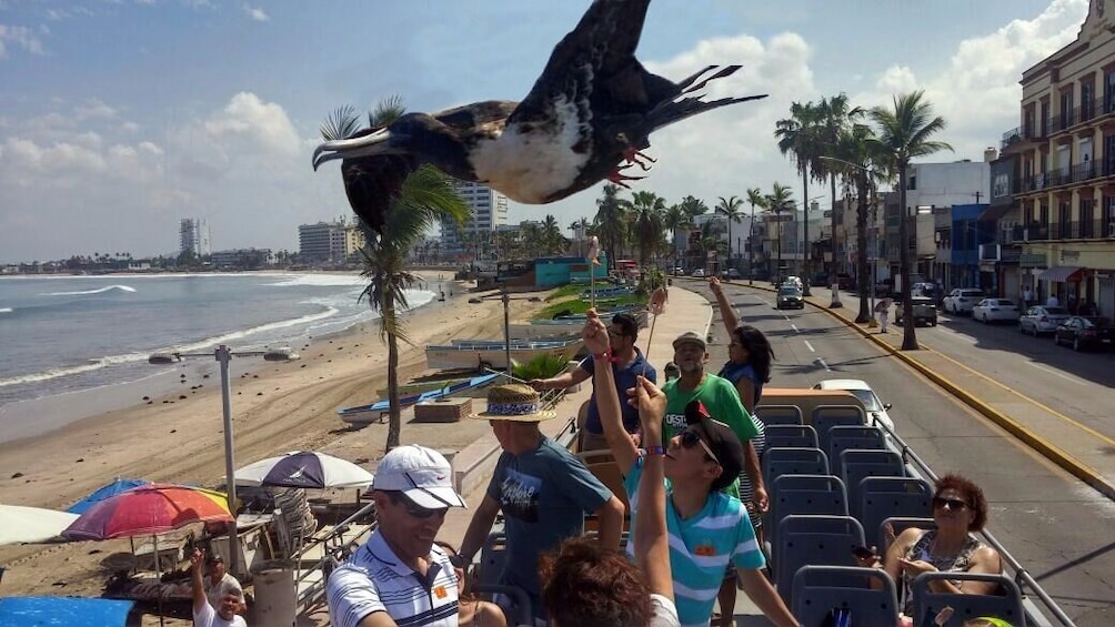Tour de la ciudad de Mazatlán por FunBus