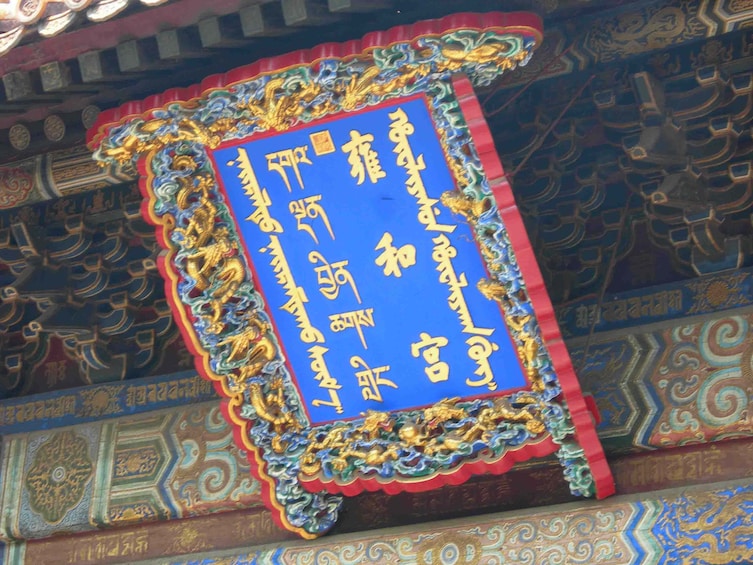 Summer Palace, Lama Temple & Giant Panda Encounter Day Tour