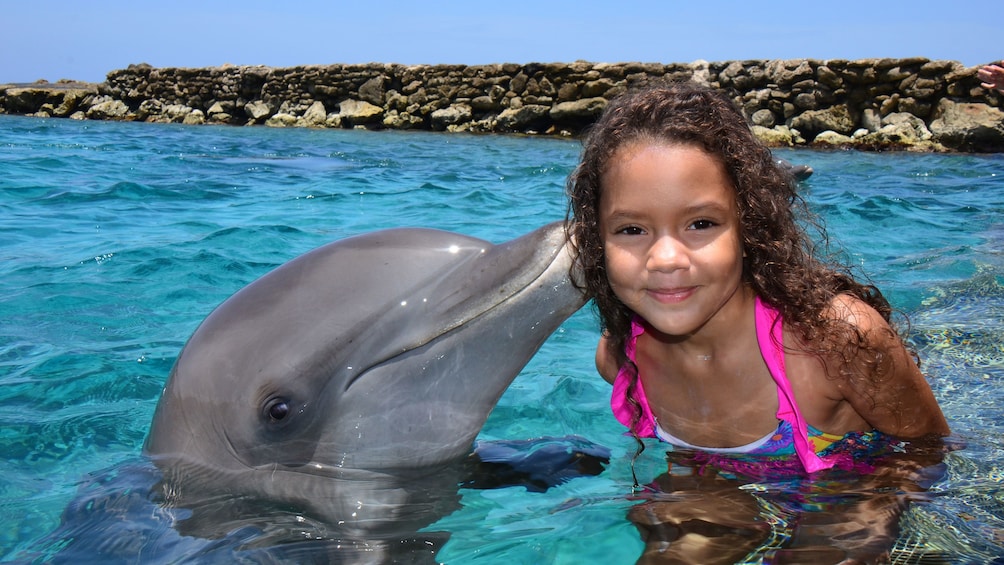 Foto 1 von 9 laden Girl receives kiss from dolphin at Dolphin Academy Curacao
