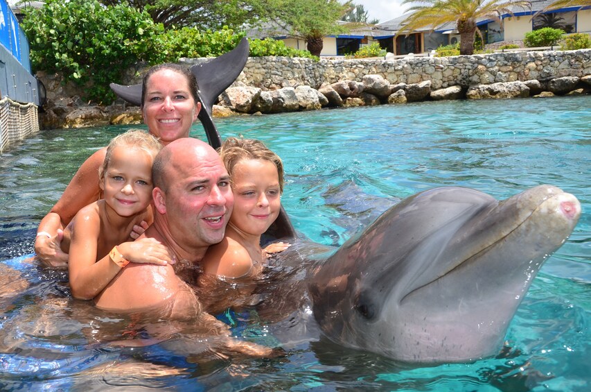 Dolphin Encounter & Sea Aquarium Park