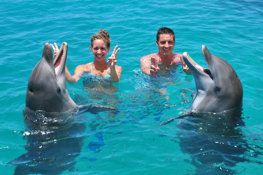 Dolphin Swim & Sea Aquarium Park