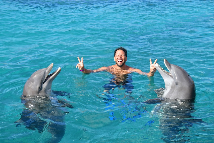 Dolphin Swim & Sea Aquarium Park