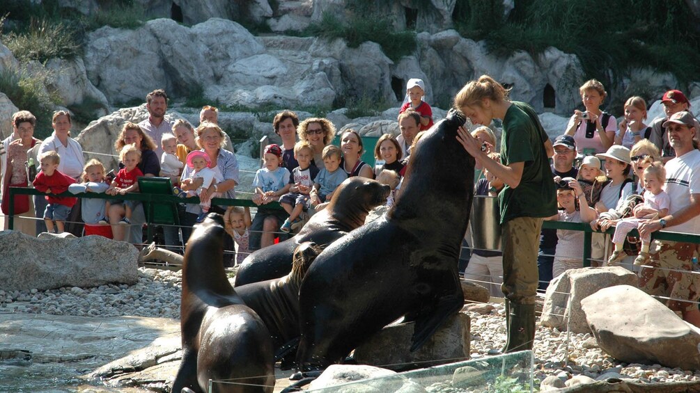 The Schönbrunn Zoo Ticket