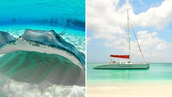 Stingray Sandbar & Rum Point Sail