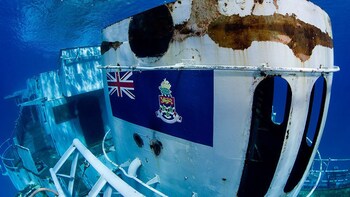 Kittiwake Wreck & Reef Snorkeling