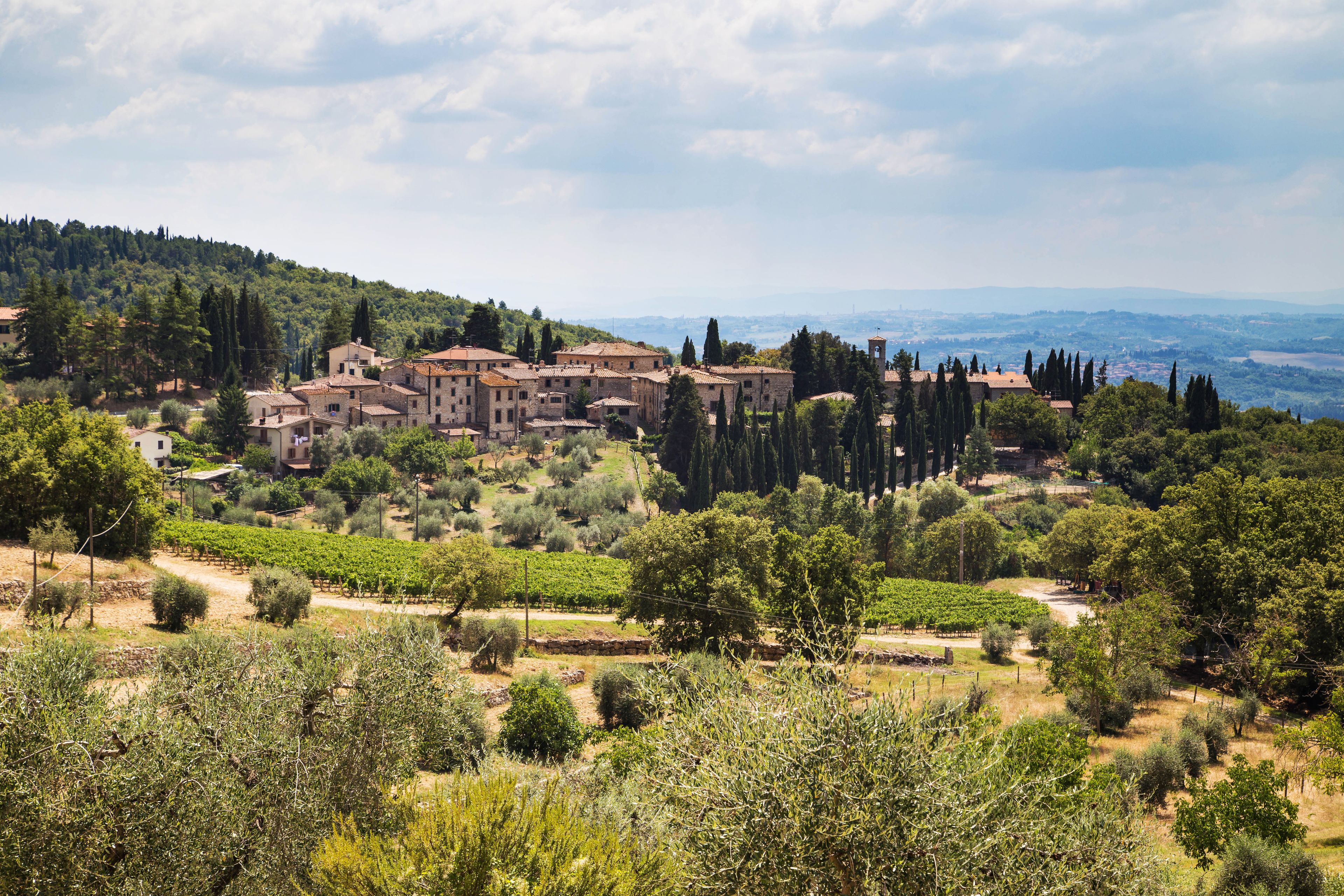 Chianti Tour with two Wine Tastings & two charming Villages