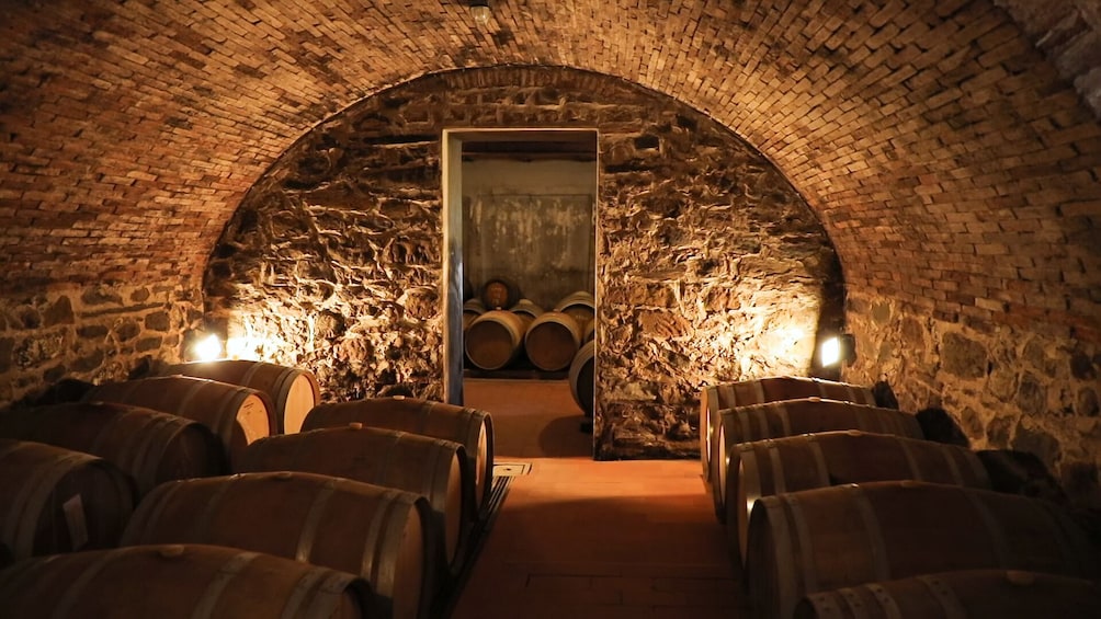Chianti Authentic Experience with two Wine Tastings and a charming Village