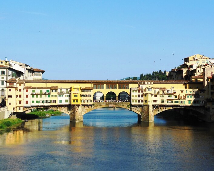 Renaissance & Medieval Florence City Tour with Accademia, Uffizi and Lunch