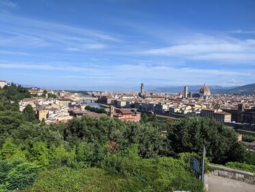 Tour della città di Firenze: visita rinascimentale e medievale con Accademi...