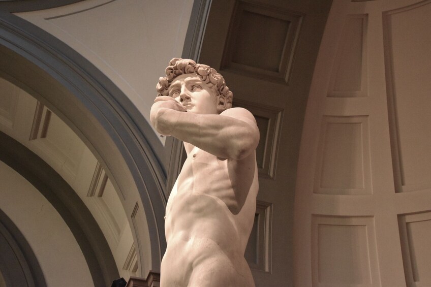 All Florence in one day Guided Visit with Accademia Gallery