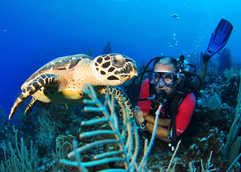 Resort Scuba Diving Grand Cayman Introduction Course