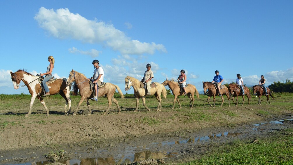 Group on horse all in a row