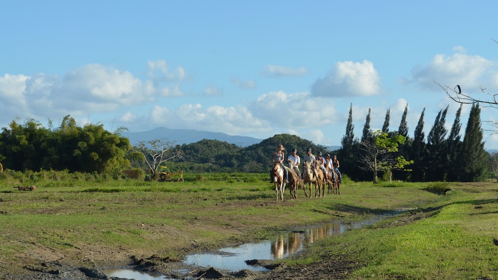 medium shot of horseback riders with lush country in the background