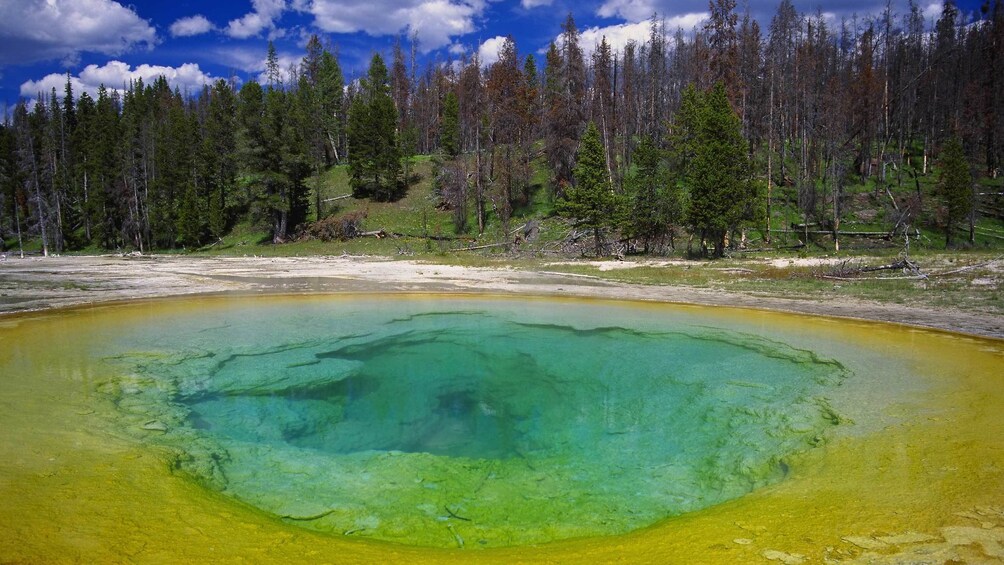 Beautiful day view of Yellowstone National Park