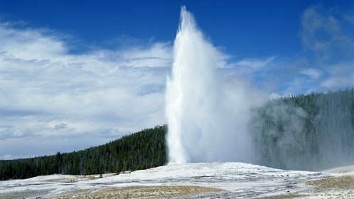 Yellowstone National Park Lower Loop Small-Group Tour