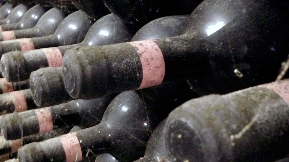 Wine bottles on Tuscany Wine Tasting Tour in Italy