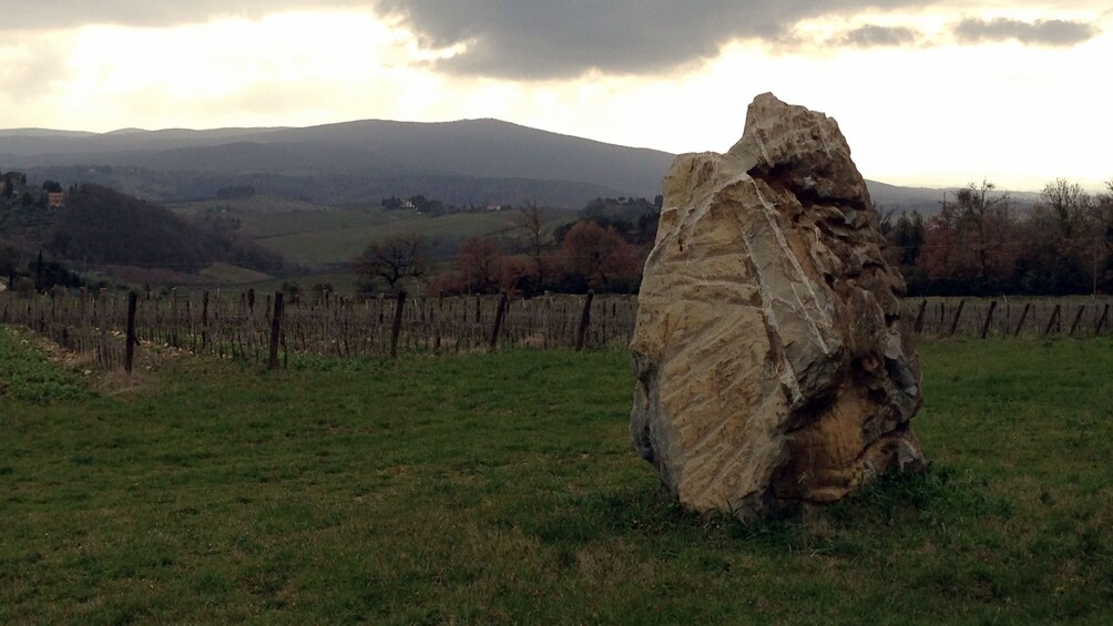 Large boulder on Tuscany Wine Tasting Tour in Italy