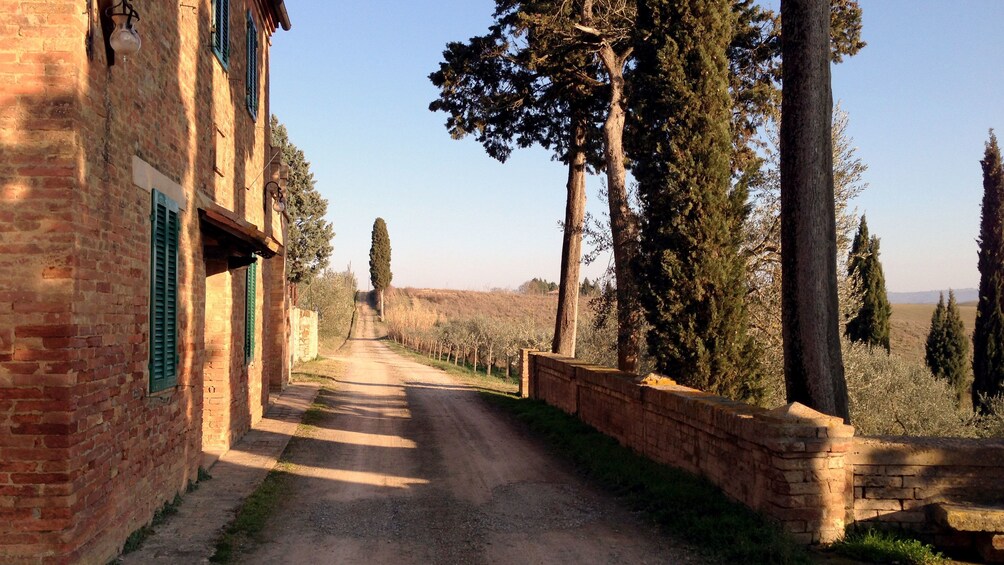 Town road on Tuscany Wine Tasting Tour in Italy