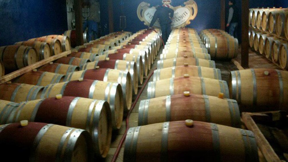 Wine Barrels on Tuscany Bike Tour in Italy