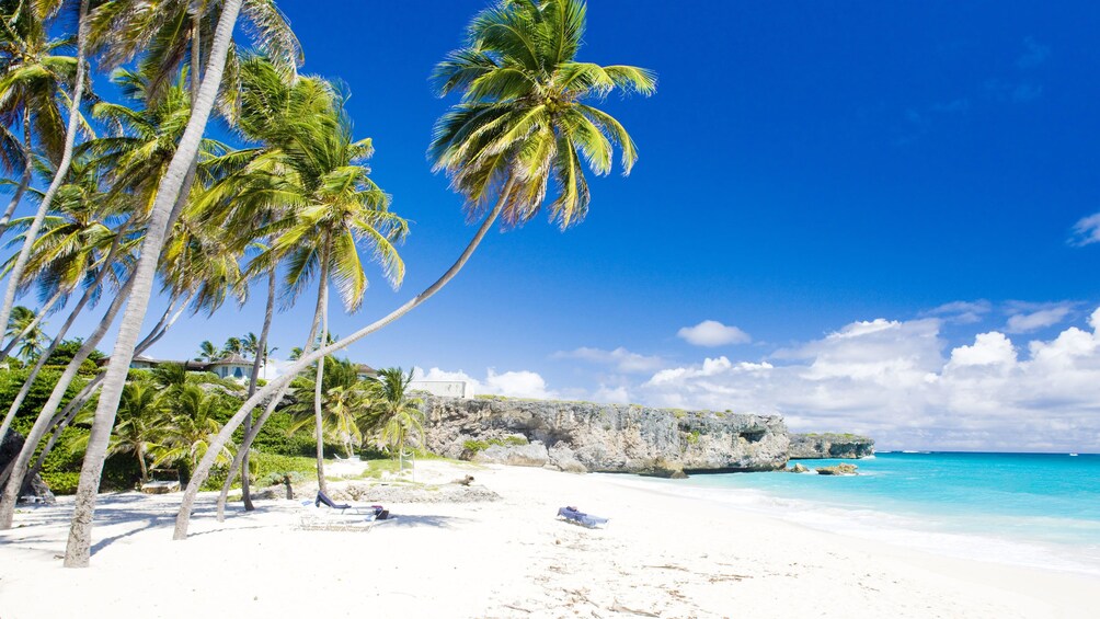 Deserted Beach with palm trees and aqua ocean