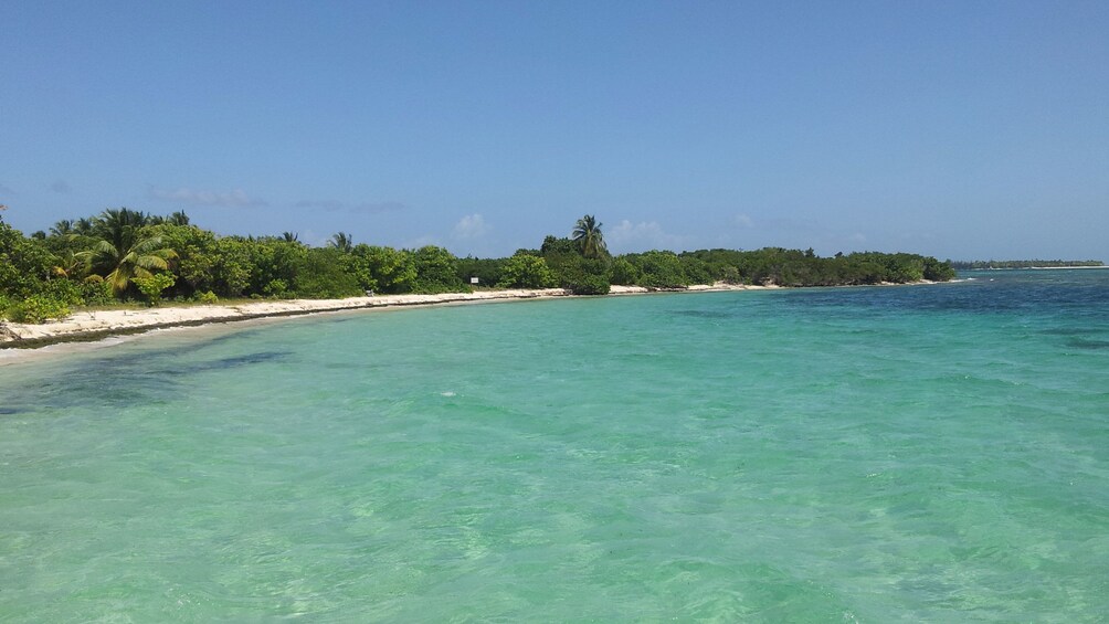 crystal clear blue-green ocean with beach in the background