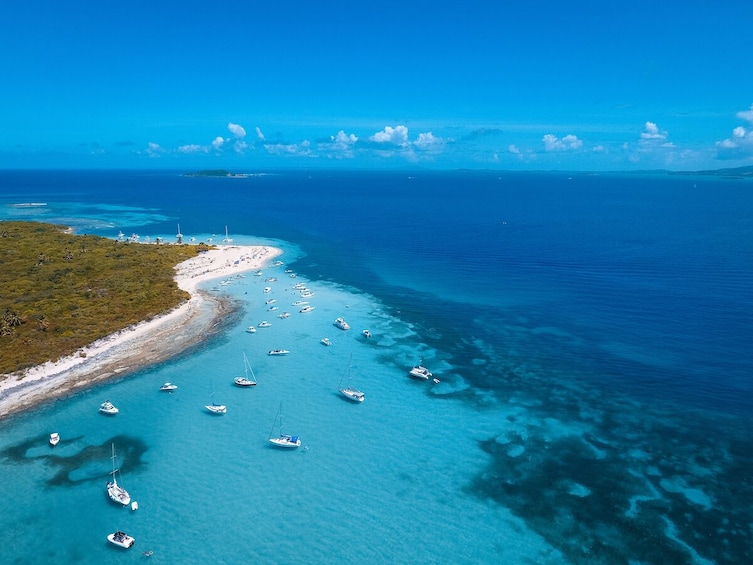 Catamaran Sail & Snorkeling in the Caribbean with Lunch