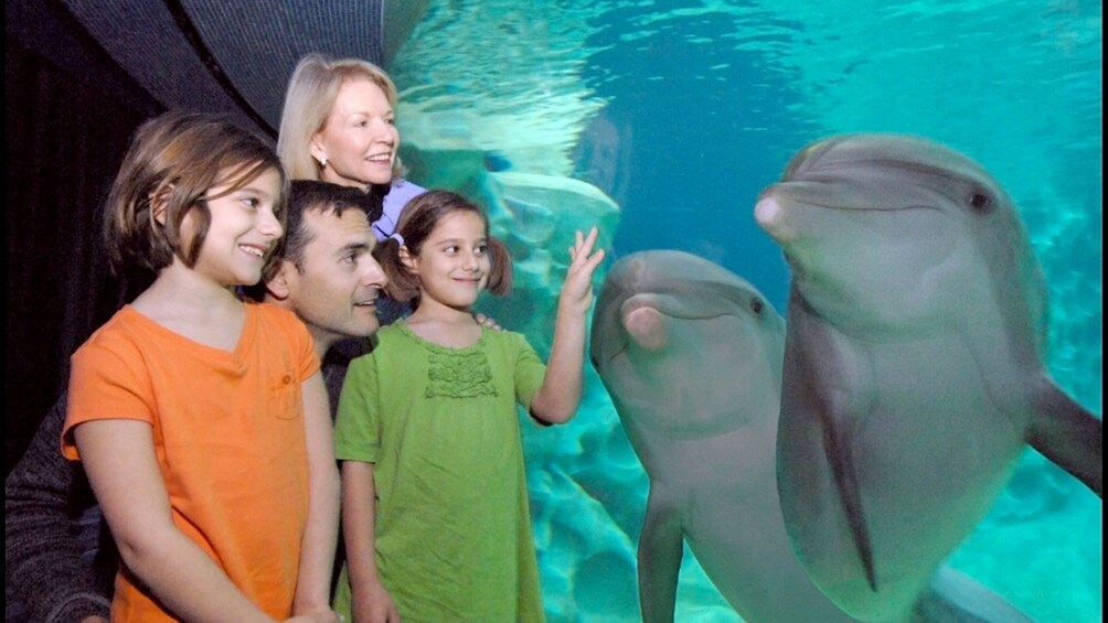 Atlanta CityPASS: Family at Georgia Aquarium