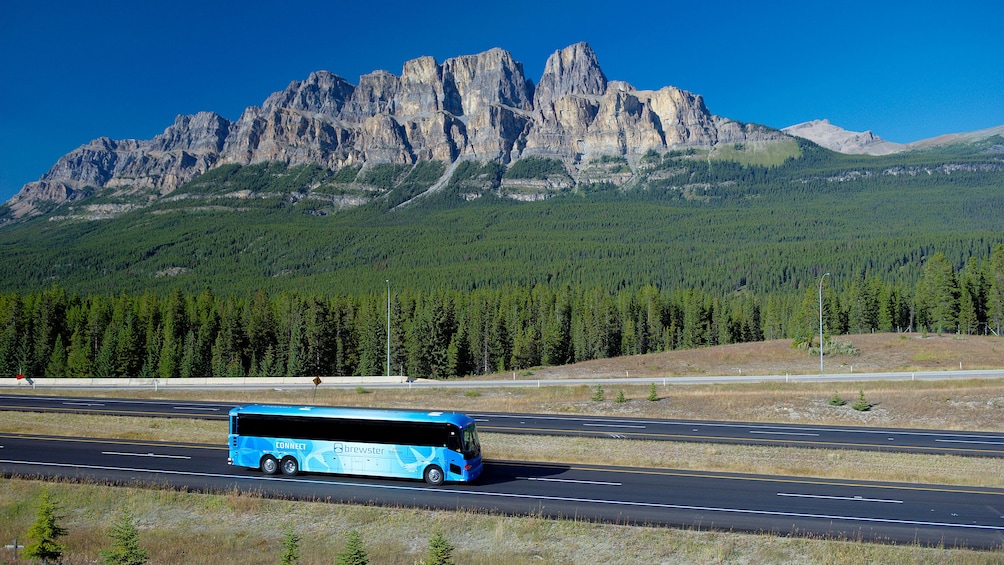 Tour bus en route to Maligne Canyon