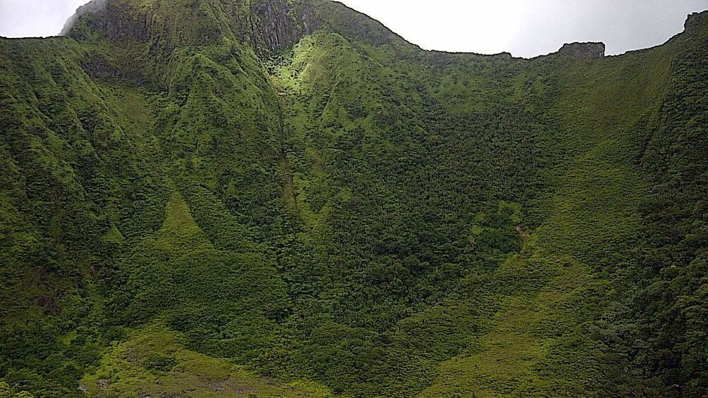 View of lush green mountain in St Kitts