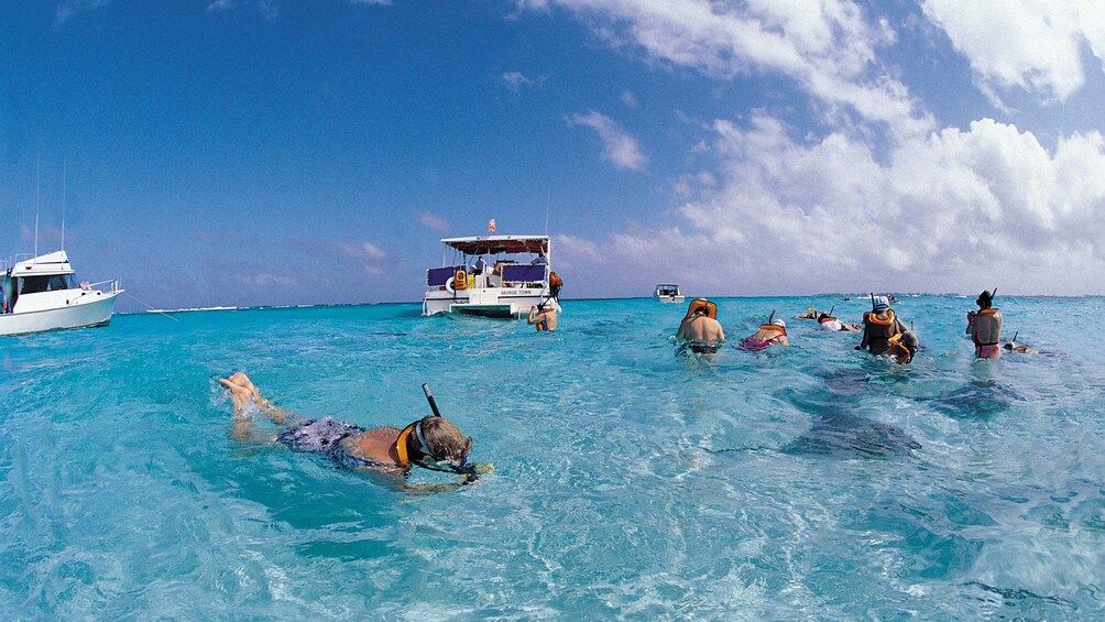 Snorkeling group with catamaran nearby in St Kitts