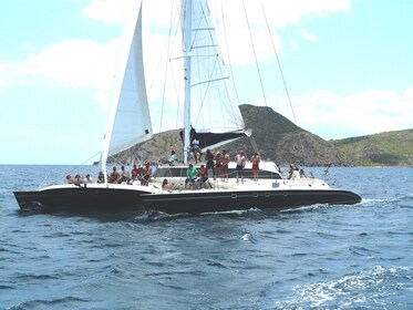 Catamaran Party Cruise & Snorkelling