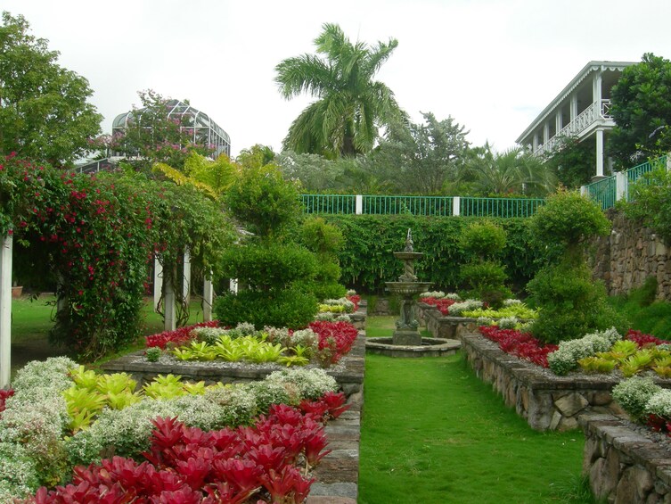 Nevis Island Guided Tour