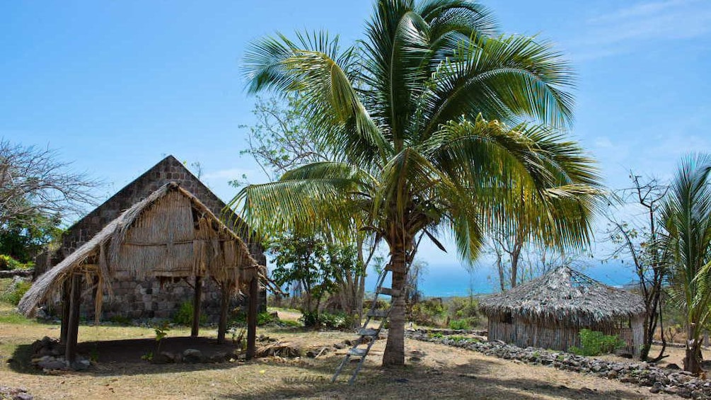 Palm trees and grass huts on Nevis Island