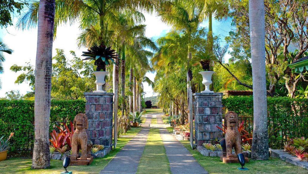 Pair of statues and tree-lined path at the entrance to the botanical gardens on Nevis Island