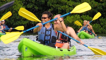 St. Thomas Mangrove, Kayak & Snorkeling Tour