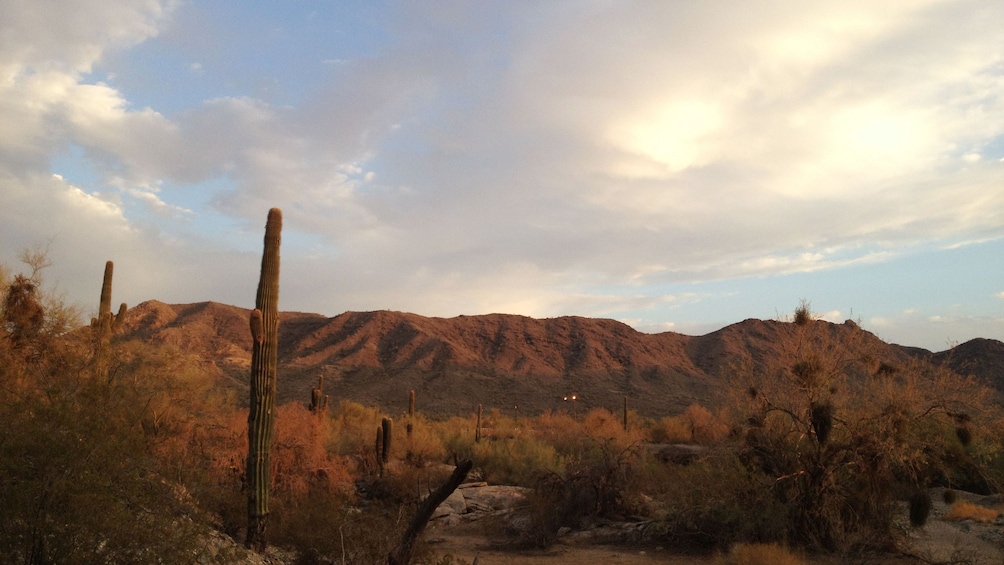 Desert landscape in Sedona, Arizona