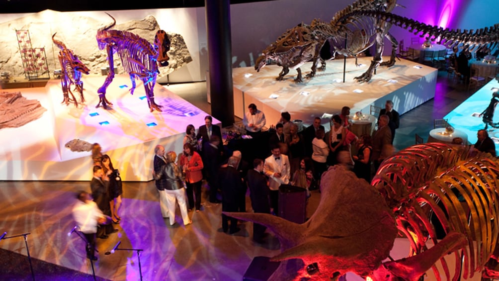 Houston CityPASS: Admission to Top 5 Houston Attractions