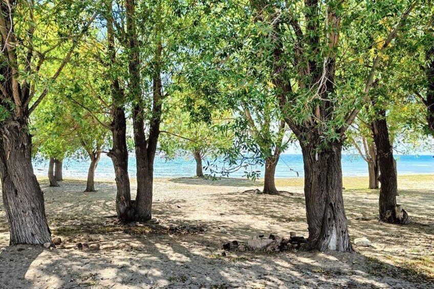 One-day tour from Bishkek to Issyk-Kul Lake