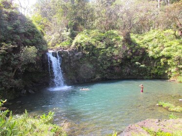 Road to Hana, and Waterfall Swim, The Ultimate Maui Experiences