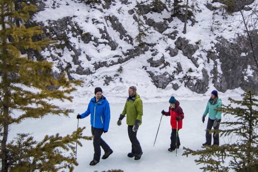 Grotto Canyon Icewalk