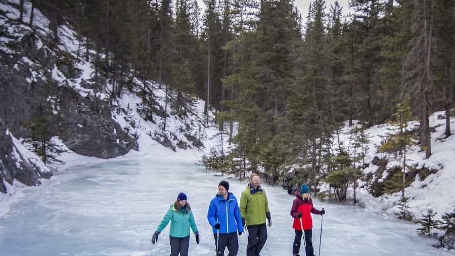 Grotto Canyon Icewalk