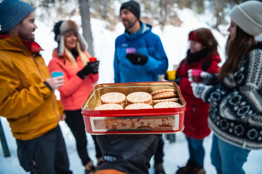 Discover Banff: Johnston Canyon Icewalk Tour